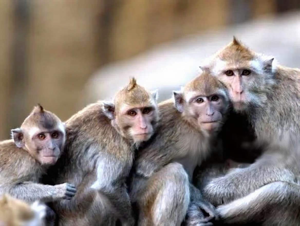 Picture of us